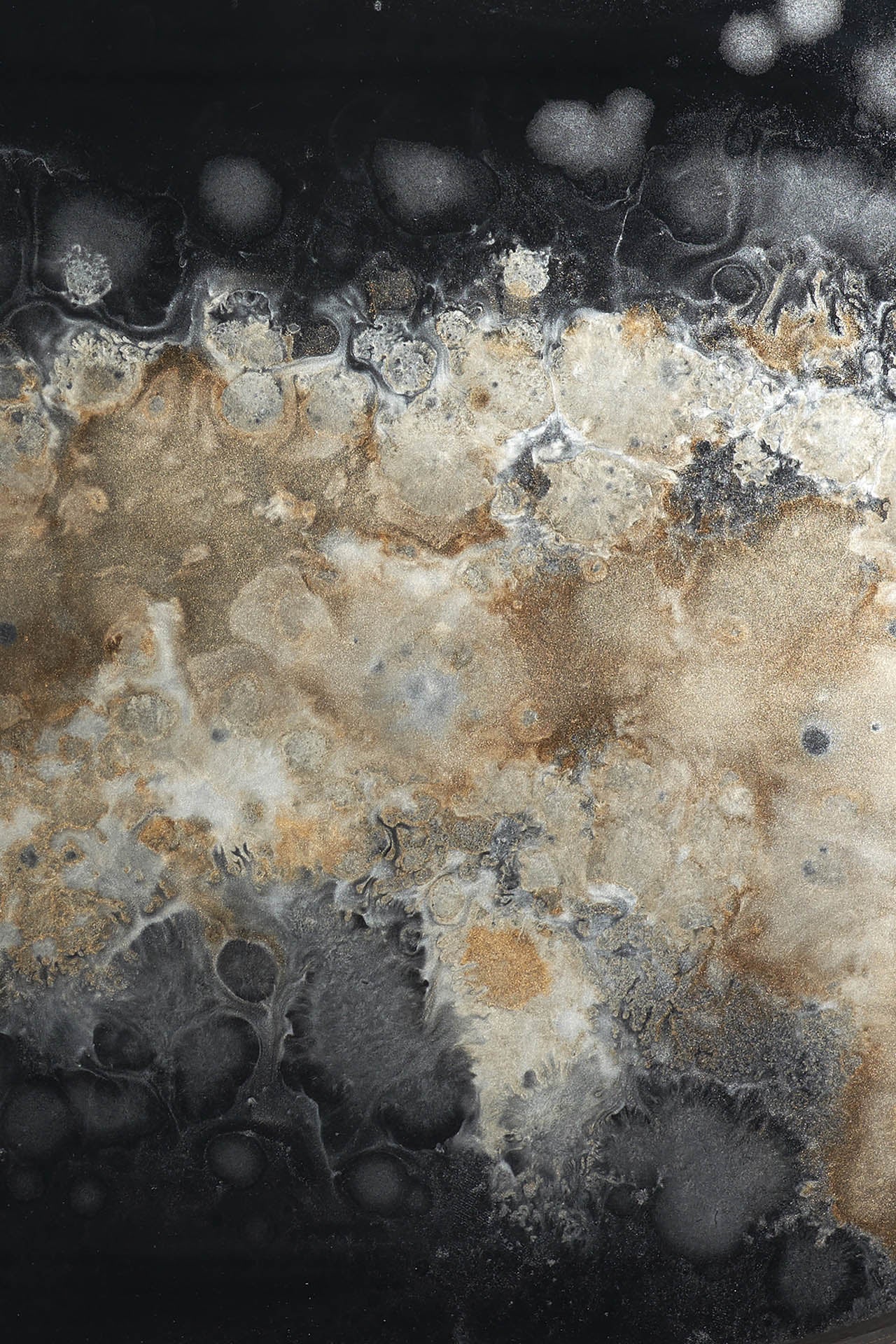 Black-organic-glass-tray-Goode-Studio