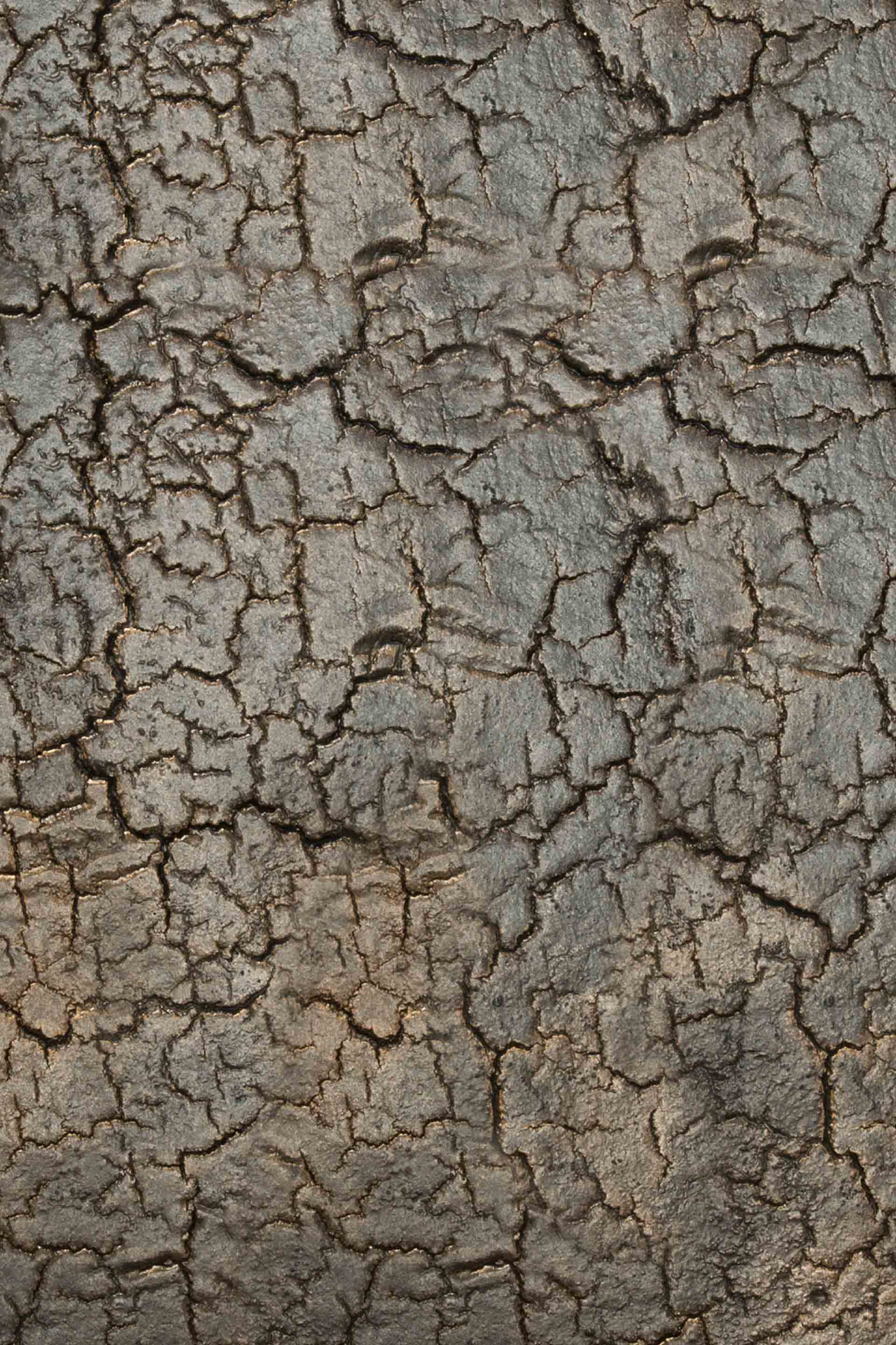 Pentagon-console-lave-whisky-Goode-Studio