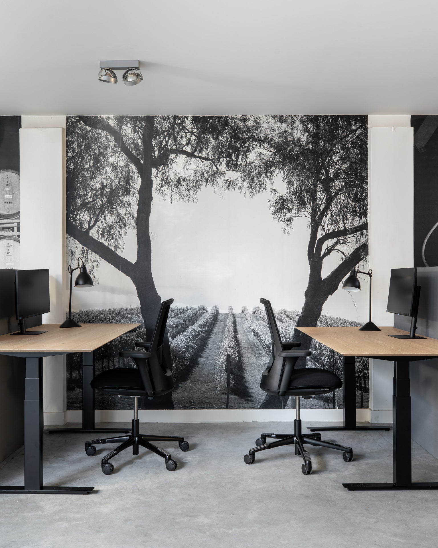 Bok Adjustable Desk, Oak Black Top, Black Base - Goode Studio