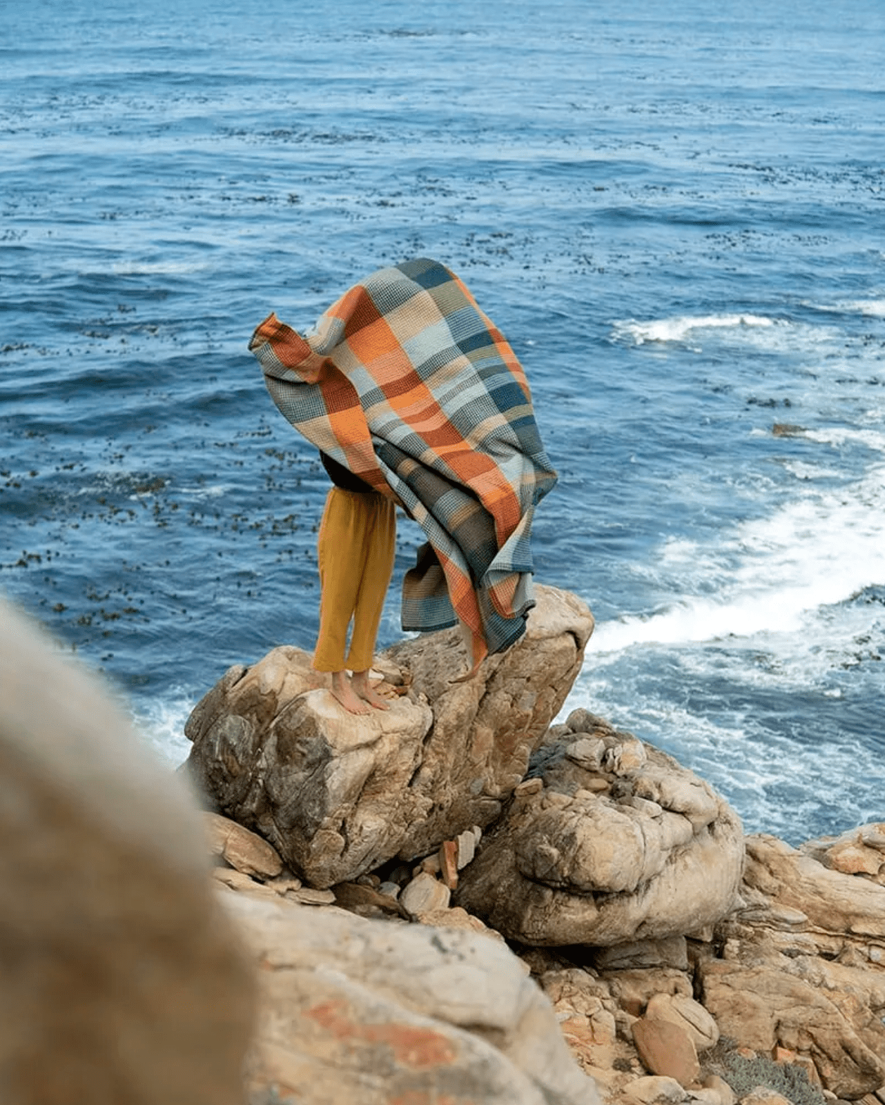 From Cape Town to Canada: Why Goode Studio Loves Mungo - Goode Studio