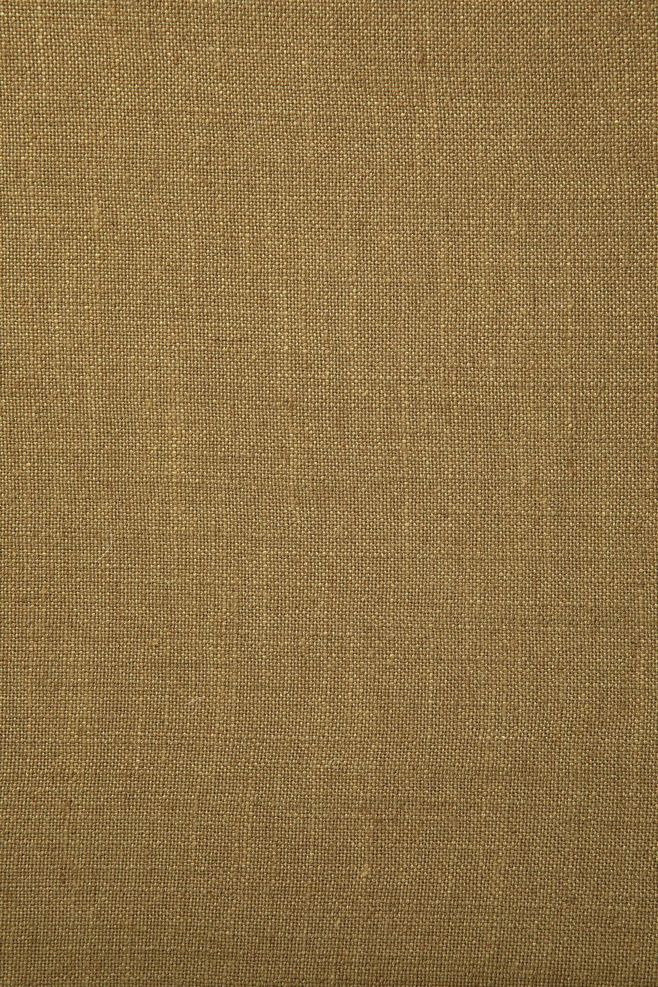 Roan Lounge Chair - Goode Studio
