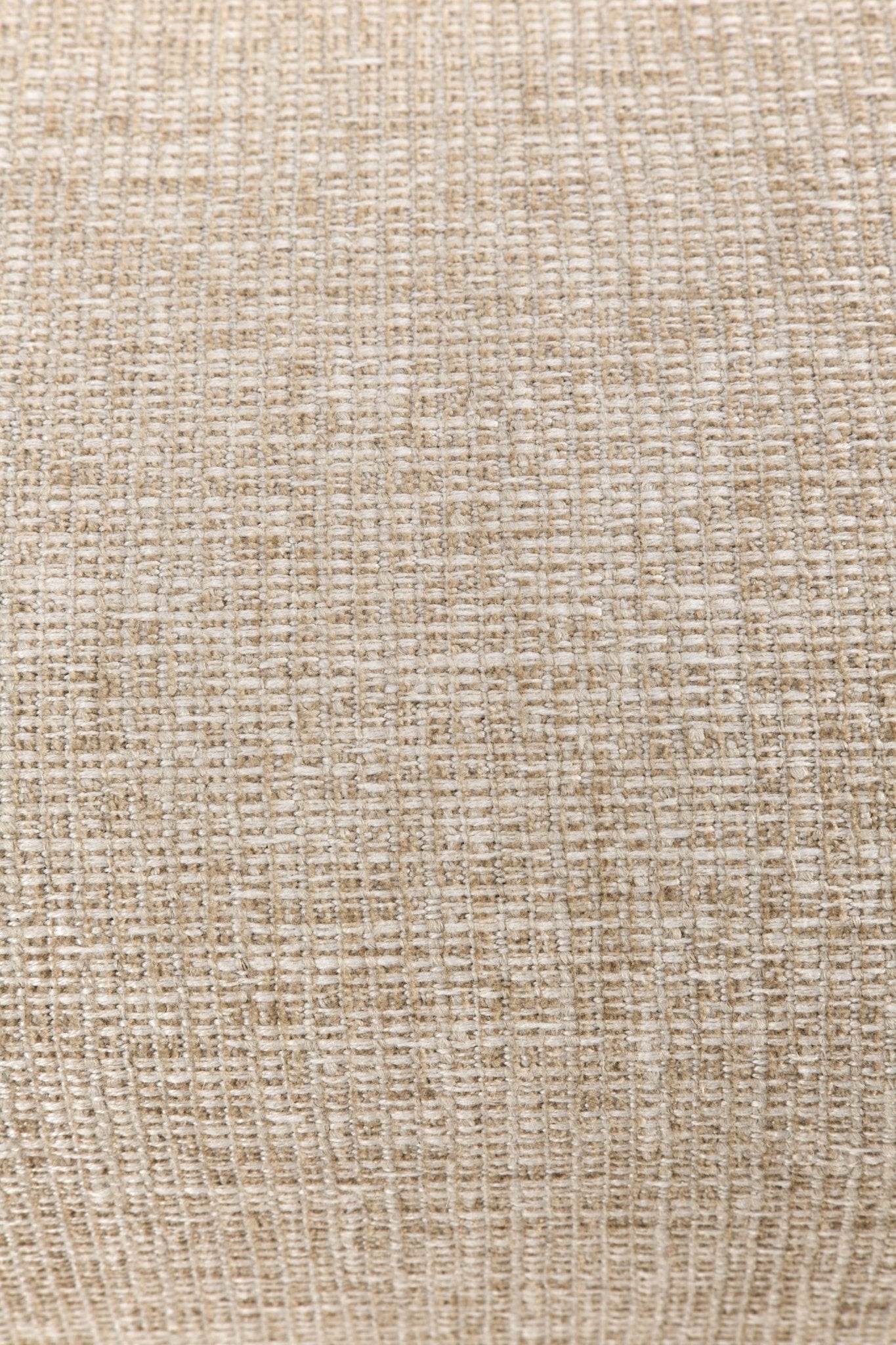 Ellipse Sofa - Goode Studio