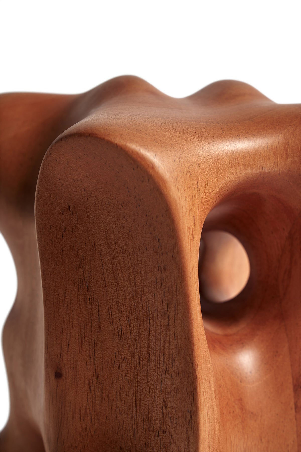 Natural-Organic-sculpture-mahogany-Goode-Studio
